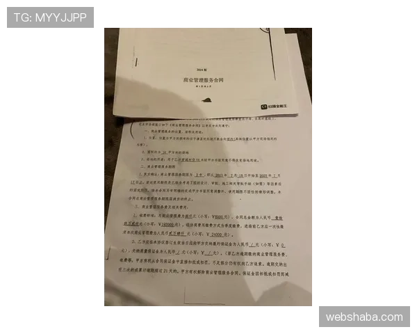 视频回放判罚规则如何界定，哪些情况可以进行回放裁决？